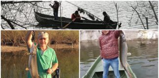 Liviu Dragnea: ”Marea ruptură între Parlament și Guvern a avut loc”