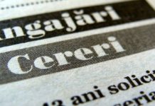 Bursa locurilor de muncă, în Alexandria, Roşiorii de Vede şi Turnu Măgurele