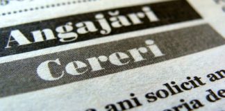 Bursa locurilor de muncă, în Alexandria, Roşiorii de Vede şi Turnu Măgurele