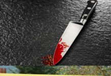 CRIMĂ ÎN TELEORMAN. UN BĂRBAT A FOST UCIS CU O LOVITURĂ DE CUȚIT crima in nenciulesti