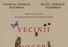 În atenția părinților și copiilor! „Vecinii noștri necuvântători”, expoziție de insecte, amfibieni, reptile, păsări si mamifere la Muzeul Județean Teleorman!