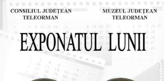Pasionații de numismatica au ocazia sa vadă la Muzeul Județean Teleorman, moneda de 10 bani emisă in anul 1867