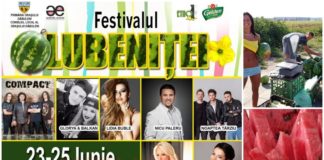 În acest weekend sunteți așteptați la FESTIVALUL LUBENIŢEI DE DĂBULENI!