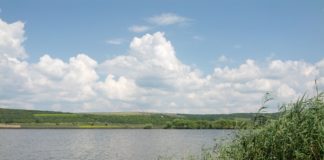 Accident stupid in timpul unei partide de amor, doi tineri au murit accident in timpul partidei de sex