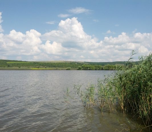 Accident stupid in timpul unei partide de amor, doi tineri au murit accident in timpul partidei de sex