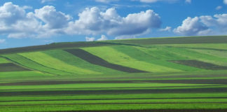 Un funcționar APIA a fost arestat pentru luare de mita şi trafic de influență