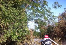 Zile de „foc” pentru pompierii teleormăneni! 12 incendii la miriști si alte trei incendii in numai doua zile!