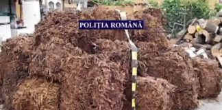 23,600 Kg tutun de fumat confiscat de polițiștii Serviciului de Investigare a Criminalității Economice la Smardioasa!