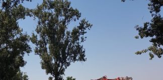 Viteza bate-o vina, face din nou victime pe soselele din Teleorman! Accident grav petrecut astazi pe raza localitatii Islaz
