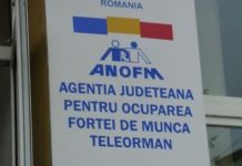 Ofertă săracă a locurilor de muncă! Doar 268 locuri de muncă la nivelul judetului Teleorman!
