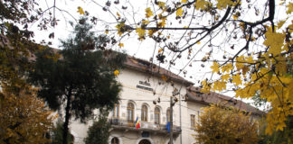 Colegiul Național Anastasescu din Rosiorii de Vede beneficiar al proiectului de mobilitate “Carieră Europeană în IT”!