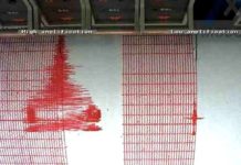 Trei cutremure s-au produs în România, în această noapte cutremur de 3,9 grade in Vrancea