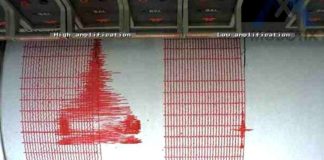 Trei cutremure s-au produs în România, în această noapte cutremur de 3,9 grade in Vrancea