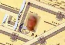 PARCHETUL CERE ANULAREA DIPLOMELOR DE LICENŢĂ FALSE, OBŢINUTE LA ALEXANDRIA. MULŢI POLITICIENI POT RĂMÂNE FĂRĂ…PATALAMA diplome de licenţă