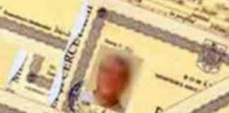 PARCHETUL CERE ANULAREA DIPLOMELOR DE LICENŢĂ FALSE, OBŢINUTE LA ALEXANDRIA. MULŢI POLITICIENI POT RĂMÂNE FĂRĂ…PATALAMA diplome de licenţă