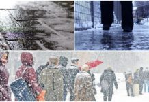 Ninsori şi polei în TELEORMAN! Cod galben până marţi după amiază