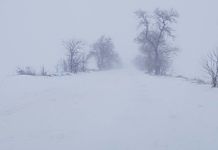 ATENŢIE! Zăpada portocalie poate fi periculoasă pentru oameni