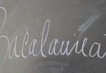 Bac 2024: Cele mai mari medii, obținute de absolvenți ai Liceulului Teoretic Alexandru Ghica și Colegiului Național Anastasescu