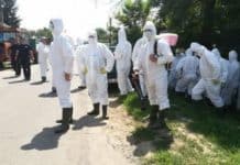 Numărul focarelor de pestă porcină africană, în creștere – 111 focare active în Teleorman