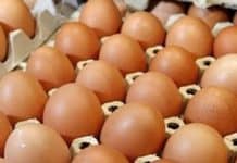 Peste 4 milioane de ouă contaminate cu Fipronil, găsite la o fermă din Draganesti Vlasca