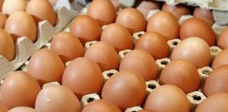 Peste 4 milioane de ouă contaminate cu Fipronil, găsite la o fermă din Draganesti Vlasca