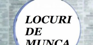 AJOFM Teleorman a stabilit calendarul desfăşurării burselor locurilor de muncă în anul 2019