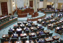 Declaraţie politică, senator Eugen Pîrvulescu: TUTA ABSOLUTĂ și CORMORANUL