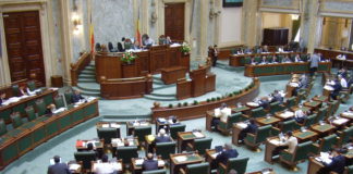 Declaraţie politică, senator Eugen Pîrvulescu: TUTA ABSOLUTĂ și CORMORANUL