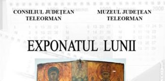 Exponatul Lunii Aprilie