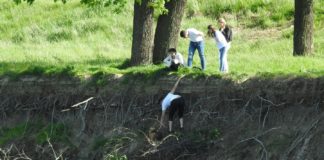 Bunătate în ziua de Paște: un grup de tineri din Alexandria a salvat un cățel de la moarte