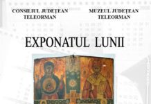 Exponatul Lunii Aprilie la Muzeul Judetean