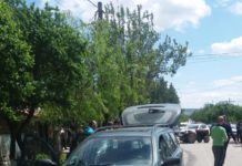 Accident grav în comuna Islaz, între un autoturism și o căruță