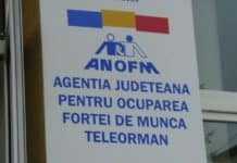 Peste 3000 de șomeri din Teleorman reîncadrați în muncă prin programele AJOFM