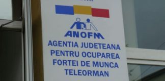 Peste 3000 de șomeri din Teleorman reîncadrați în muncă prin programele AJOFM