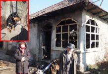Cățelușa Chira a salvat o întreagă familie de la moarte. Un puternic incendiu a distrus o casă în localitatea Plosca