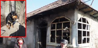 Cățelușa Chira a salvat o întreagă familie de la moarte. Un puternic incendiu a distrus o casă în localitatea Plosca