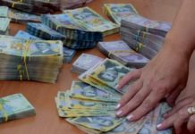 FEMEIE BĂNUITĂ DE DELAPIDARE, REȚINUTĂ DE POLIȚIȘTI