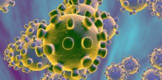 Coronavirus în Teleorman / 30 de persoane din Teleorman sunt suspecte de coronavirus