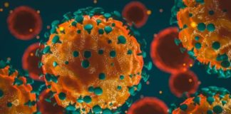 65 de persoane infectate cu noul coronavirus, confirmate la nivelul județului Teleorman