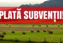 APIA dă startul Campaniei de informare pentru primirea Cererilor de Plată în anul 2023