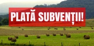 APIA dă startul Campaniei de informare pentru primirea Cererilor de Plată în anul 2023