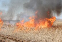 Creștere alarmantă a numărului incendiilor de vegetație uscată