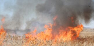 Creștere alarmantă a numărului incendiilor de vegetație uscată