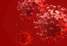 335 de cazuri de COVID-19 confirmate în Teleorman, de la debutul epidemiei; 8 cazuri în ultimele 24 de ore