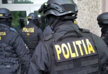 Percheziții la gruparea care vindea mașini folosite din străinătate: Prejudiciul este de 35 milioane de lei