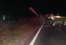 Accident rutier cu cinci victime, după ce o căruță a fost lovită de un autoturism între Alexandria și Vitănești