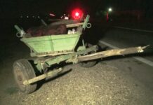 Accident cu victime, în afara localității Brânceni, după ce o mașină a lovit o căruță