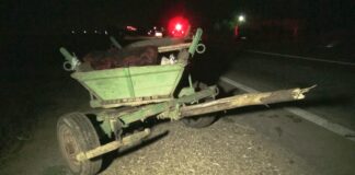 Accident cu victime, în afara localității Brânceni, după ce o mașină a lovit o căruță