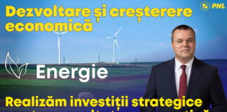 Eugen PIRVULESCU: Investim în energie!