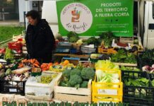 Samuel Calota: ”De ce să nu avem și noi, românii, supermarketul nostru?”